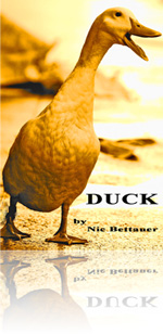 Duck Novella Cover
